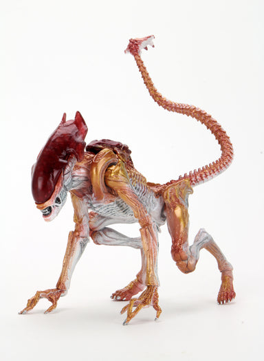 NECA Figura de Acccion: Alien -  Alien Pantera 7 Pulgadas