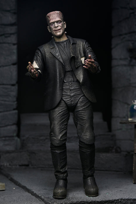 NECA Figura de Accion: La novia de Frankenstein - The Monster and His Mate 2 Pack 7 Pulgadas