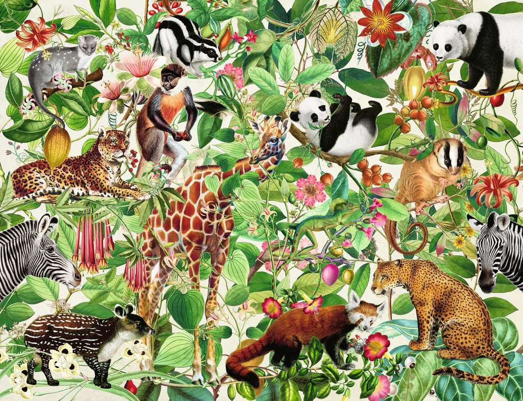 Ravensburger Rompecabezas: Animales de la Selva 2000 piezas