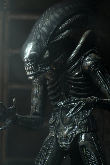 NECA Figura de Accion Ultimate: Alien 40 Aniversario - Big Chap 7 Pulgadas