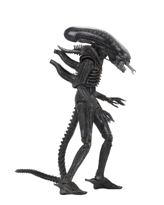 NECA Figura de Accion Ultimate: Alien 40 Aniversario - Big Chap 7 Pulgadas
