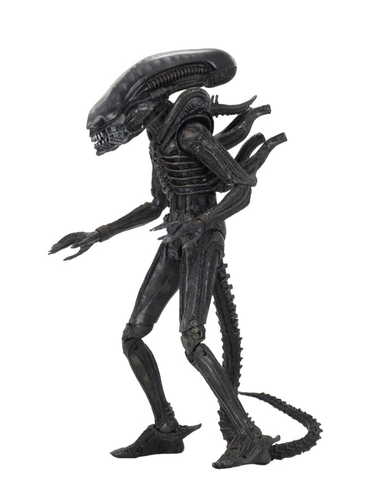 NECA Figura de Accion Ultimate: Alien 40 Aniversario - Big Chap 7 Pulgadas