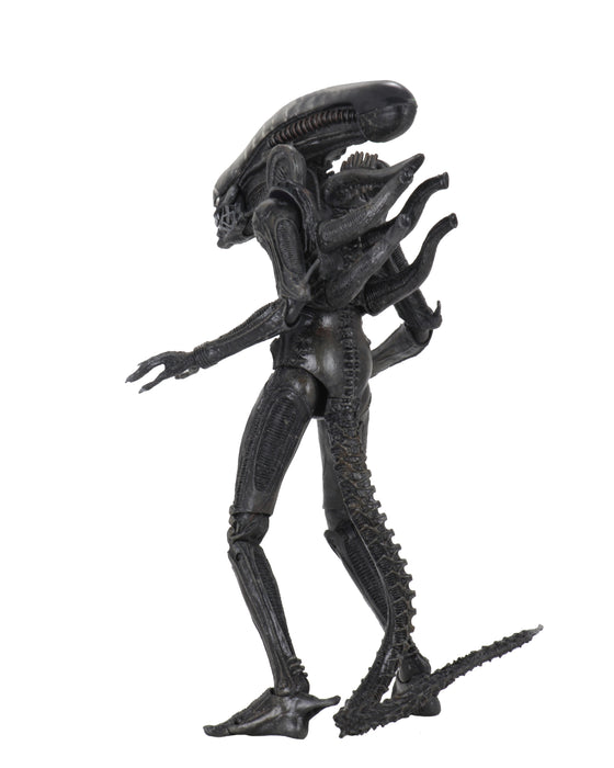 NECA Figura de Accion Ultimate: Alien 40 Aniversario - Big Chap 7 Pulgadas
