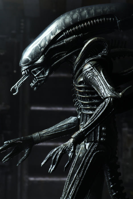 NECA Figura de Accion Ultimate: Alien 40 Aniversario - Big Chap 7 Pulgadas
