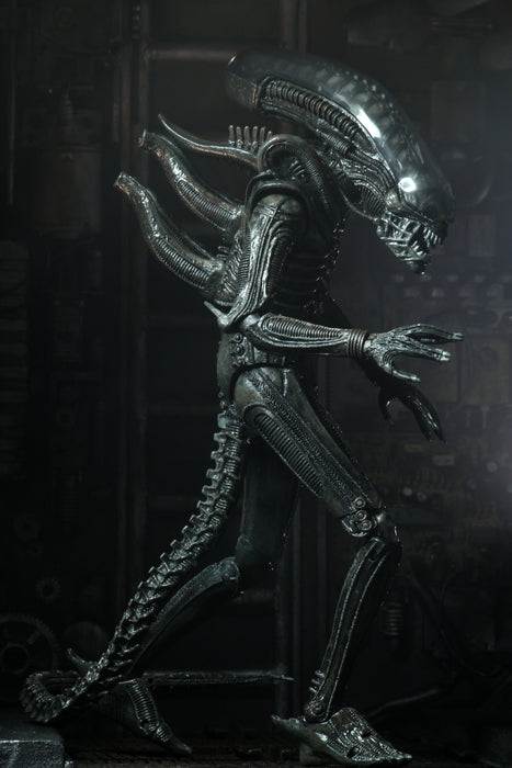 NECA Figura de Accion Ultimate: Alien 40 Aniversario - Big Chap 7 Pulgadas