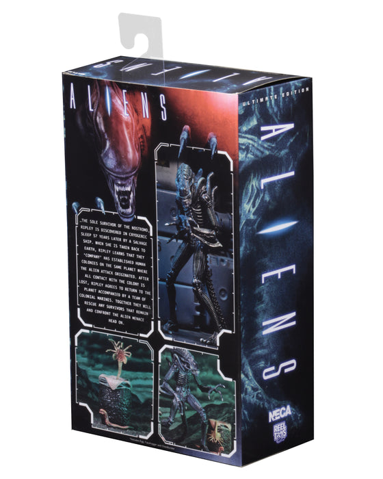 NECA Figura de Accion Ultimate: Alien 1986 - Alien Warrior Blue 7 Pulgadas
