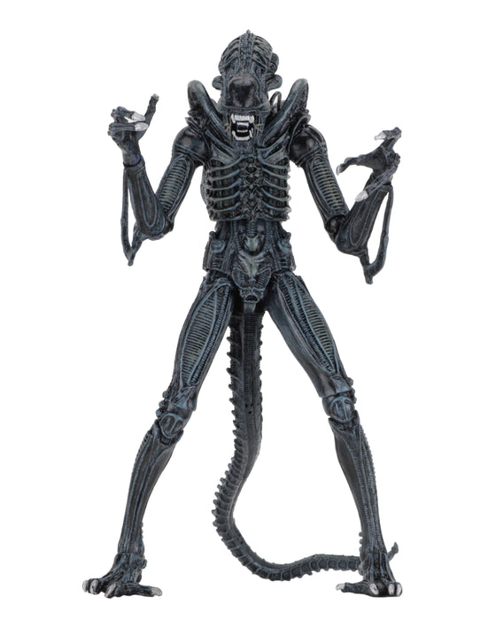 NECA Figura de Accion Ultimate: Alien 1986 - Alien Warrior Blue 7 Pulgadas