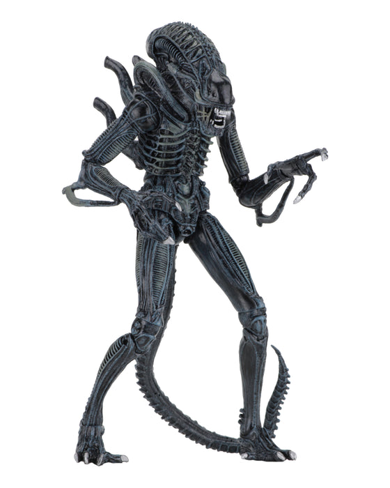NECA Figura de Accion Ultimate: Alien 1986 - Alien Warrior Blue 7 Pulgadas
