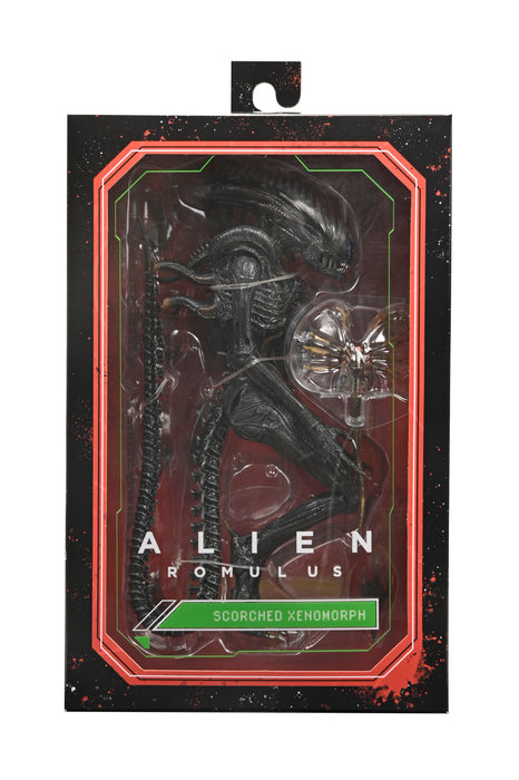 NECA Figura de Accion Ultimate: Alien Romulus - Scorched Xenomorph 7 Pulgadas