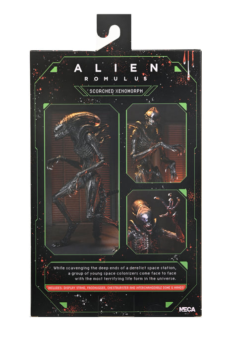 NECA Figura de Accion Ultimate: Alien Romulus - Scorched Xenomorph 7 Pulgadas