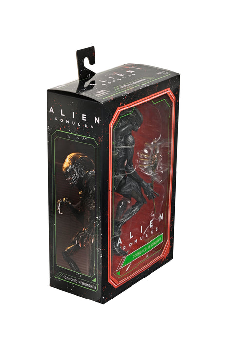NECA Figura de Accion Ultimate: Alien Romulus - Scorched Xenomorph 7 Pulgadas