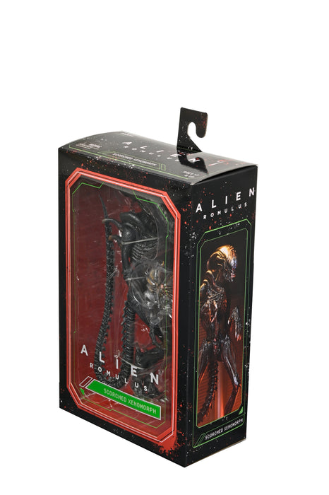 NECA Figura de Accion Ultimate: Alien Romulus - Scorched Xenomorph 7 Pulgadas