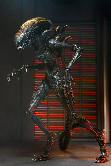 NECA Figura de Accion Ultimate: Alien Romulus - Scorched Xenomorph 7 Pulgadas
