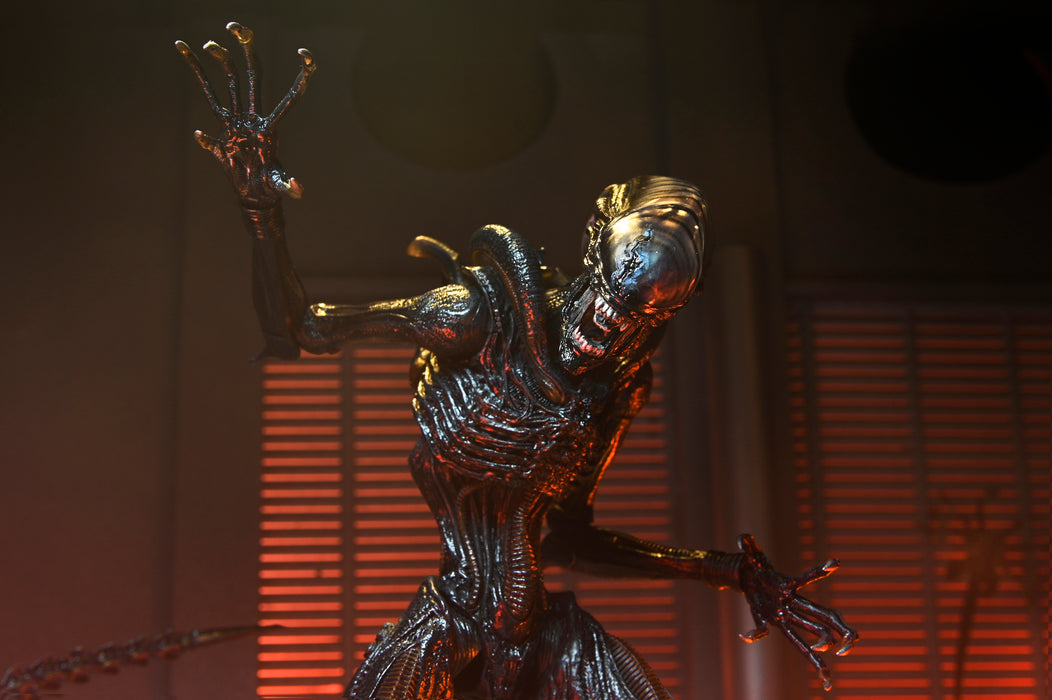 NECA Figura de Accion Ultimate: Alien Romulus - Scorched Xenomorph 7 Pulgadas