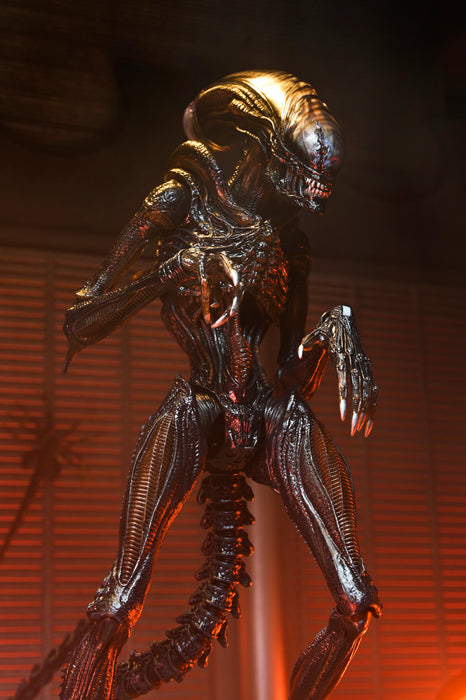 NECA Figura de Accion Ultimate: Alien Romulus - Scorched Xenomorph 7 Pulgadas
