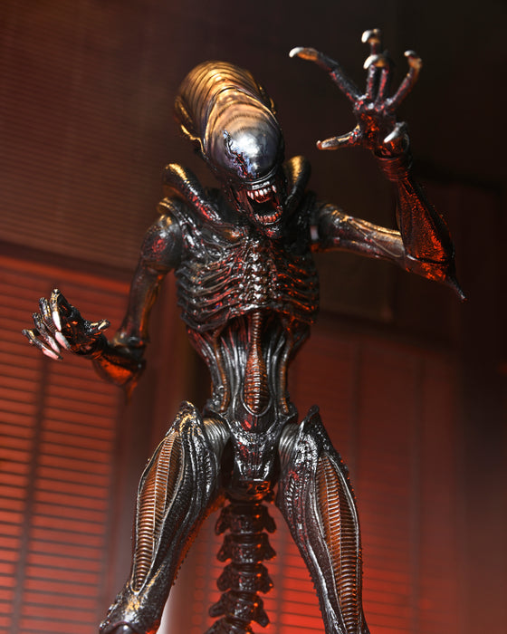 NECA Figura de Accion Ultimate: Alien Romulus - Scorched Xenomorph 7 Pulgadas
