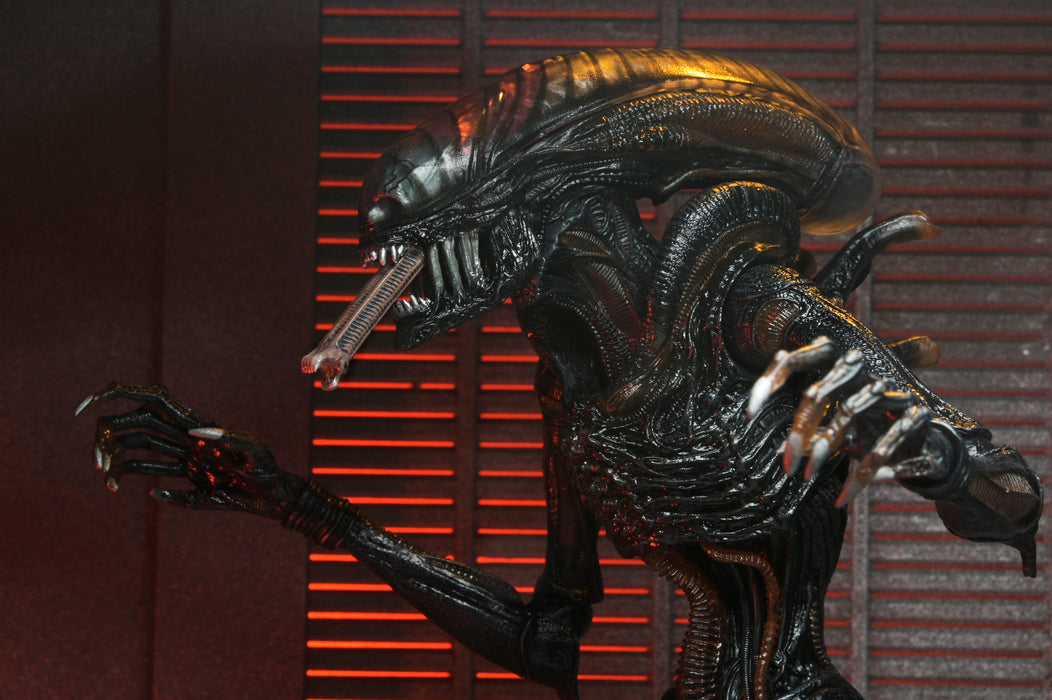 NECA Figura de Accion Ultimate: Alien Romulus - Scorched Xenomorph 7 Pulgadas