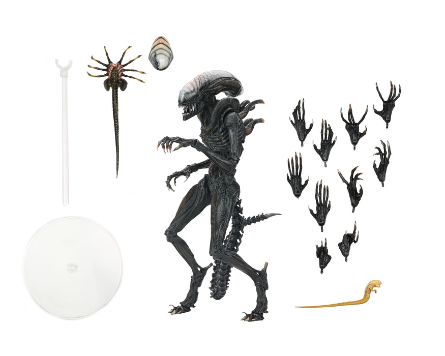 NECA Figura de Accion Ultimate: Alien Romulus - Scorched Xenomorph 7 Pulgadas