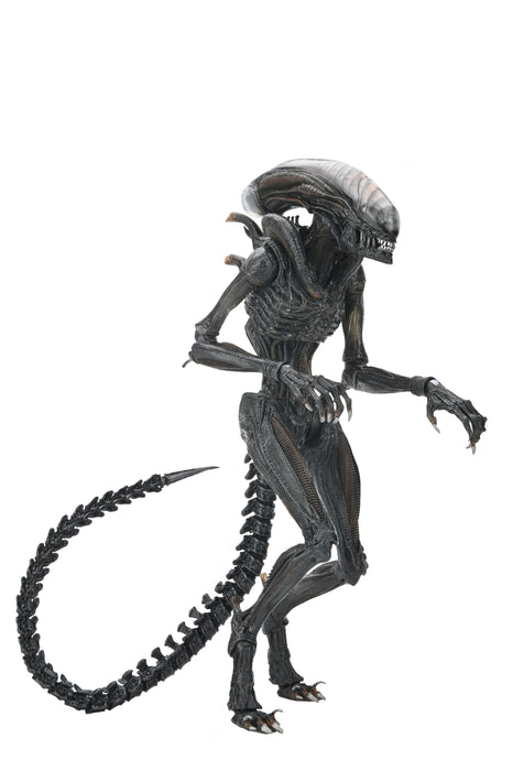 NECA Figura de Accion Ultimate: Alien Romulus - Scorched Xenomorph 7 Pulgadas
