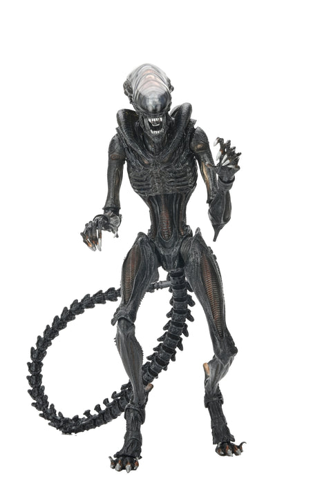 NECA Figura de Accion Ultimate: Alien Romulus - Scorched Xenomorph 7 Pulgadas