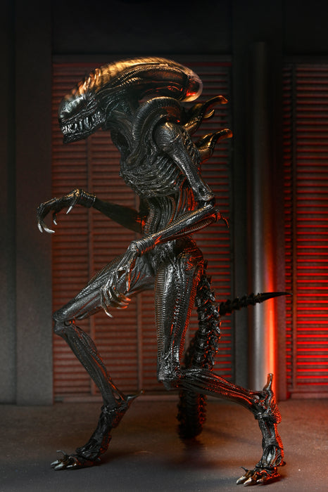 NECA Figura de Accion Ultimate: Alien Romulus - Scorched Xenomorph 7 Pulgadas