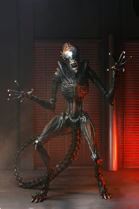 NECA Figura de Accion Ultimate: Alien Romulus - Scorched Xenomorph 7 Pulgadas