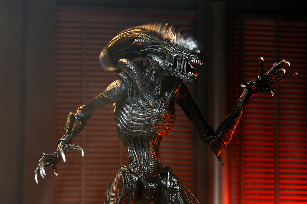 NECA Figura de Accion Ultimate: Alien Romulus - Scorched Xenomorph 7 Pulgadas