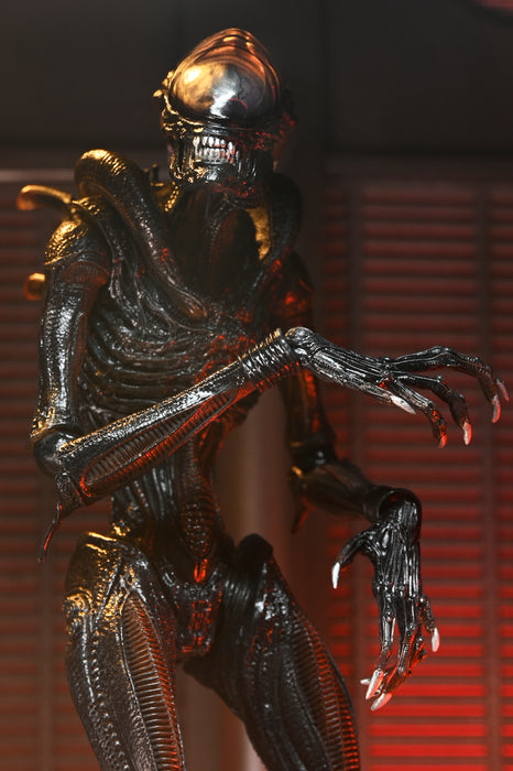 NECA Figura de Accion Ultimate: Alien Romulus - Scorched Xenomorph 7 Pulgadas