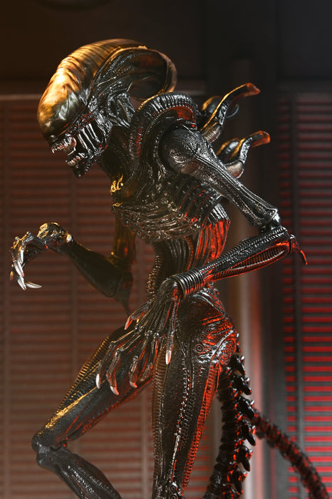 NECA Figura de Accion Ultimate: Alien Romulus - Scorched Xenomorph 7 Pulgadas