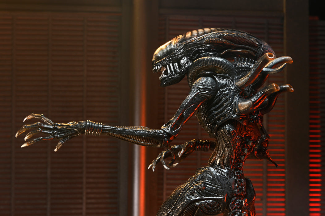 NECA Figura de Accion Ultimate: Alien Romulus - Scorched Xenomorph 7 Pulgadas