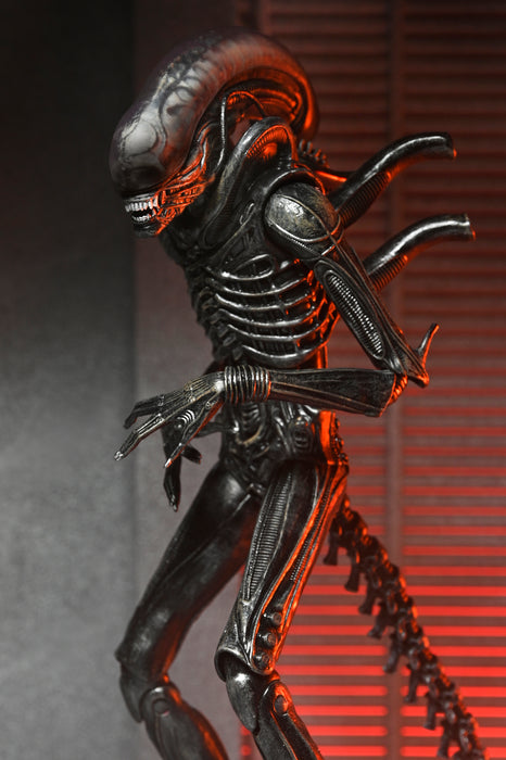 NECA Figura de Accion Ultimate: Alien Romulus - Xenomorph XX121 7 Pulgadas