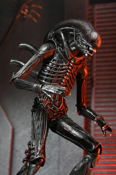 NECA Figura de Accion Ultimate: Alien Romulus - Xenomorph XX121 7 Pulgadas