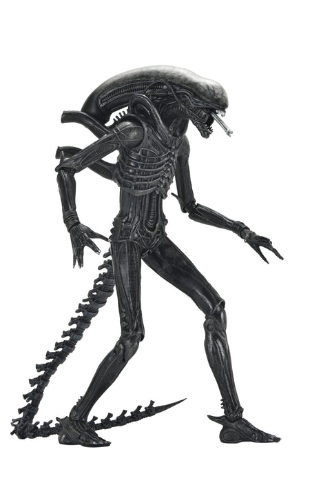 NECA Figura de Accion Ultimate: Alien Romulus - Xenomorph XX121 7 Pulgadas