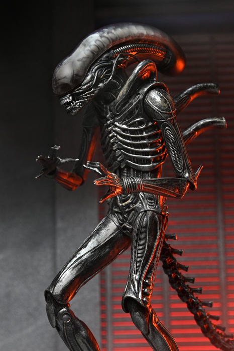 NECA Figura de Accion Ultimate: Alien Romulus - Xenomorph XX121 7 Pulgadas