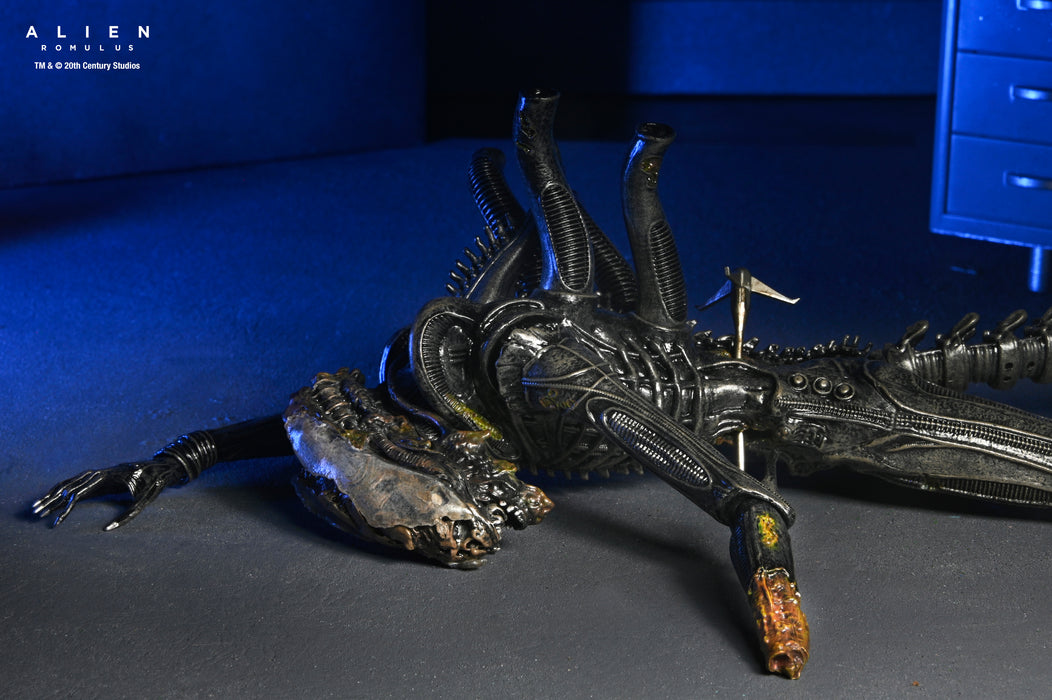 NECA Figura de Accion: Alien Romulus - Xenomorfo XX121 de laboratorio suspendido Deluxe 7 Pulgadas