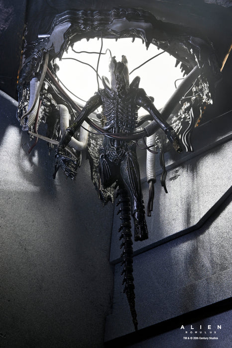NECA Figura de Accion: Alien Romulus - Xenomorfo XX121 de laboratorio suspendido Deluxe 7 Pulgadas