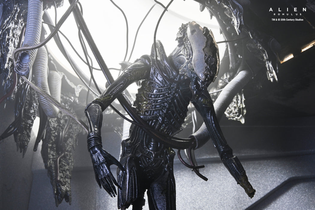 NECA Figura de Accion: Alien Romulus - Xenomorfo XX121 de laboratorio suspendido Deluxe 7 Pulgadas