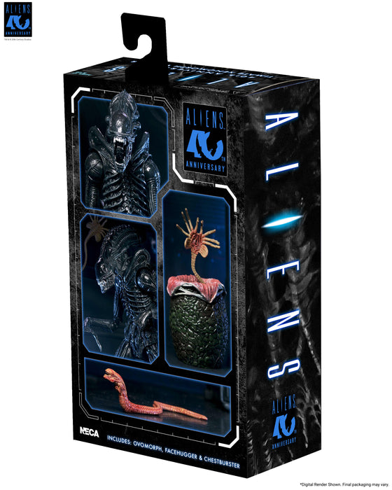 NECA Figura de Accion Ultimate: Aliens 40 Aniversario - Warrior Xenomorph Black 7 Pulgadas