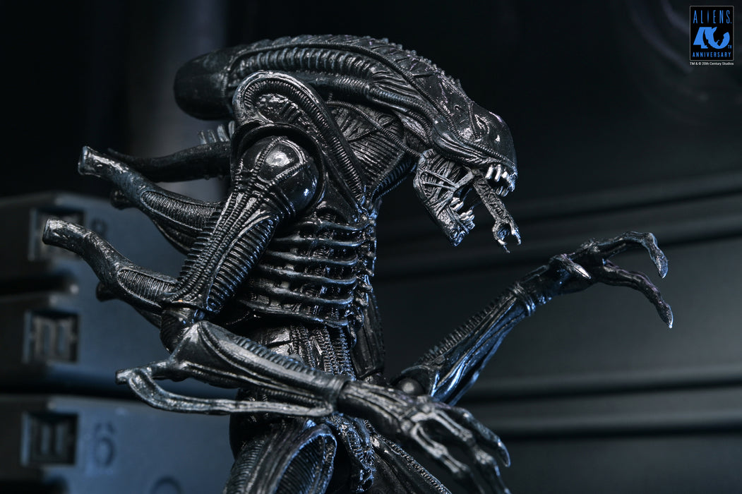 NECA Figura de Accion Ultimate: Aliens 40 Aniversario - Warrior Xenomorph Black 7 Pulgadas
