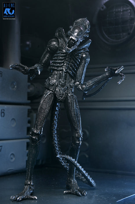 NECA Figura de Accion Ultimate: Aliens 40 Aniversario - Warrior Xenomorph Black 7 Pulgadas
