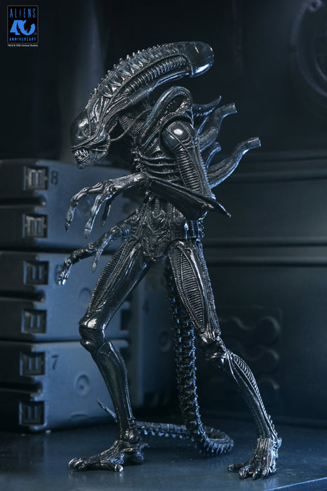 NECA Figura de Accion Ultimate: Aliens 40 Aniversario - Warrior Xenomorph Black 7 Pulgadas