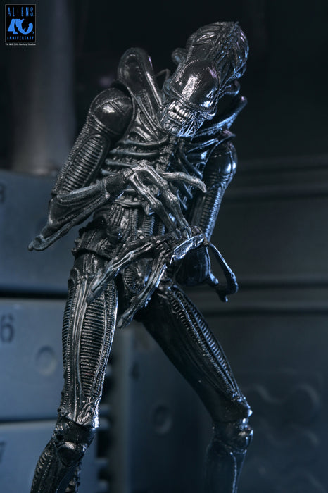 NECA Figura de Accion Ultimate: Aliens 40 Aniversario - Warrior Xenomorph Black 7 Pulgadas