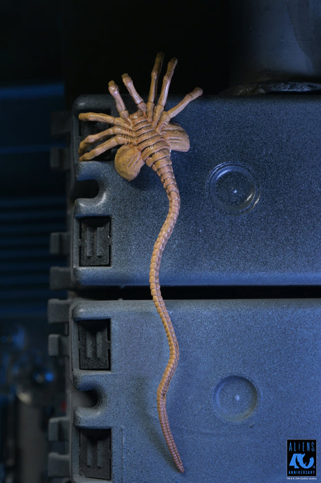 NECA Figura de Accion Ultimate: Aliens 40 Aniversario - Warrior Xenomorph Black 7 Pulgadas