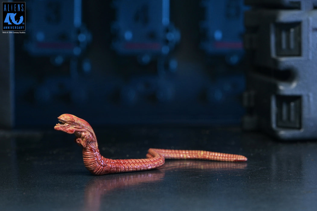 NECA Figura de Accion Ultimate: Aliens 40 Aniversario - Warrior Xenomorph Black 7 Pulgadas