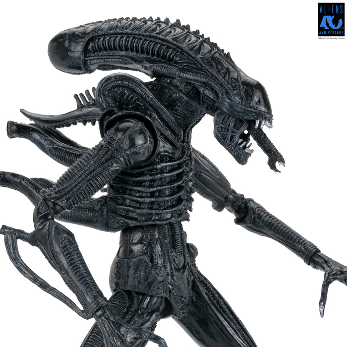 NECA Figura de Accion Ultimate: Aliens 40 Aniversario - Warrior Xenomorph Black 7 Pulgadas