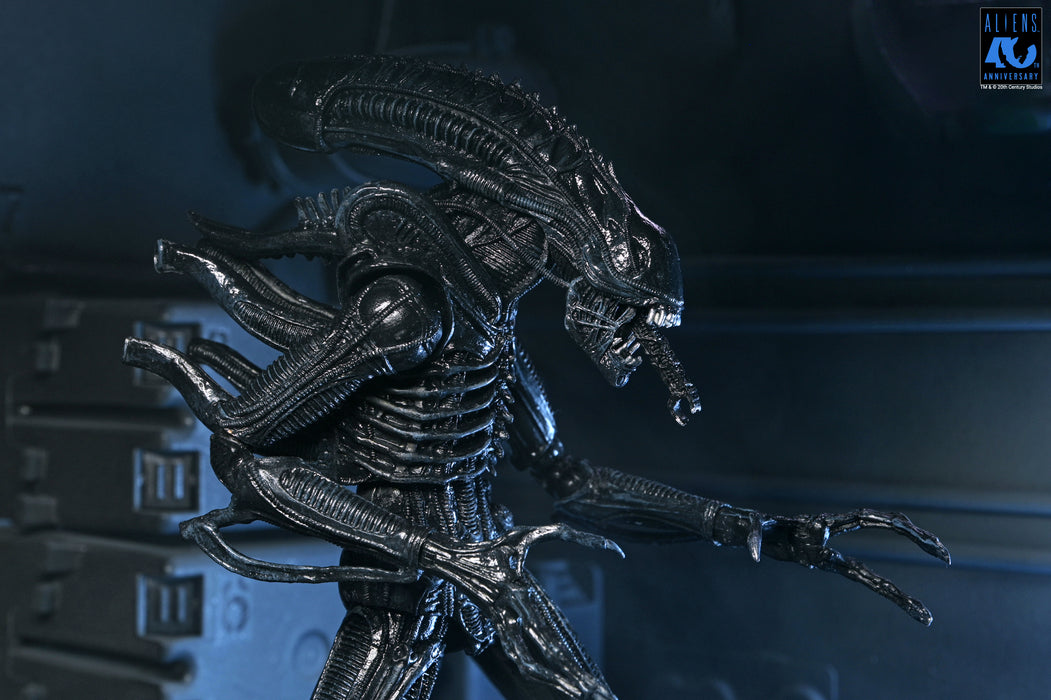 NECA Figura de Accion Ultimate: Aliens 40 Aniversario - Warrior Xenomorph Black 7 Pulgadas