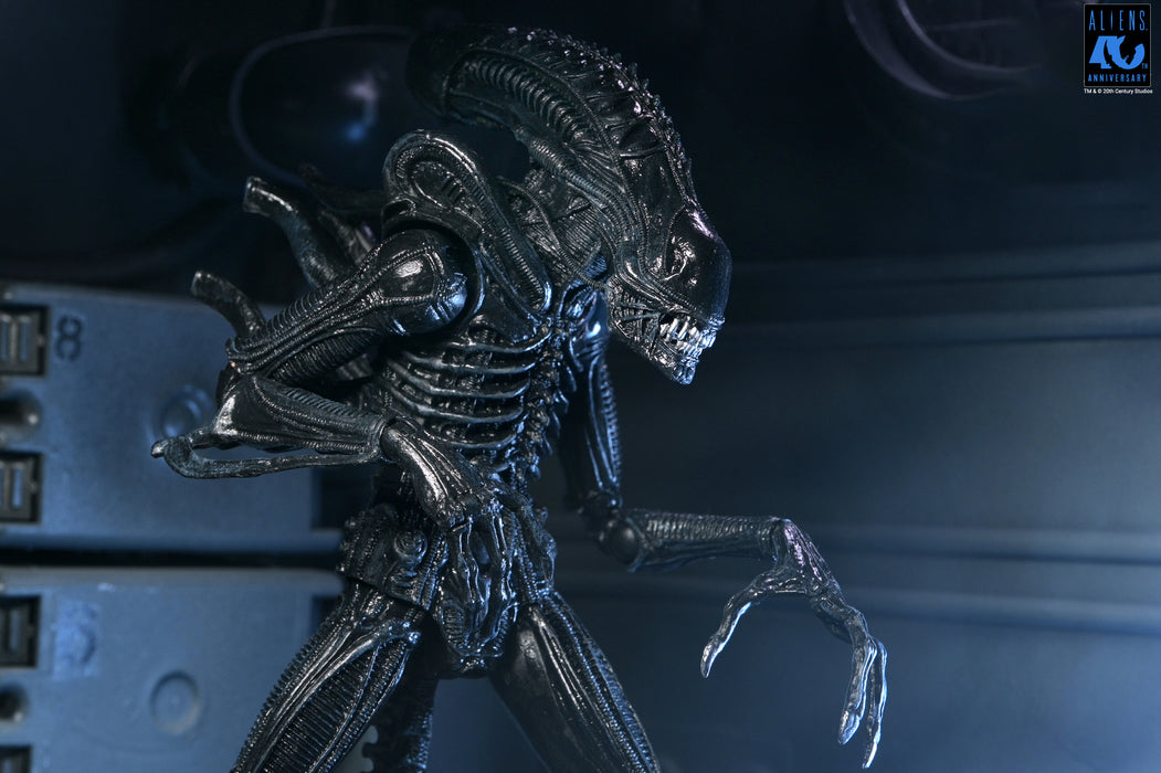 NECA Figura de Accion Ultimate: Aliens 40 Aniversario - Warrior Xenomorph Black 7 Pulgadas