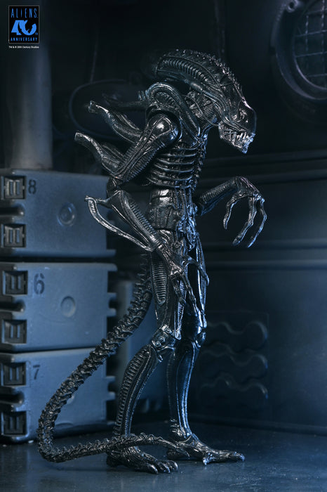 NECA Figura de Accion Ultimate: Aliens 40 Aniversario - Warrior Xenomorph Black 7 Pulgadas