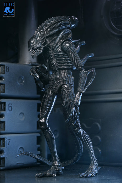 NECA Figura de Accion Ultimate: Aliens 40 Aniversario - Warrior Xenomorph Black 7 Pulgadas
