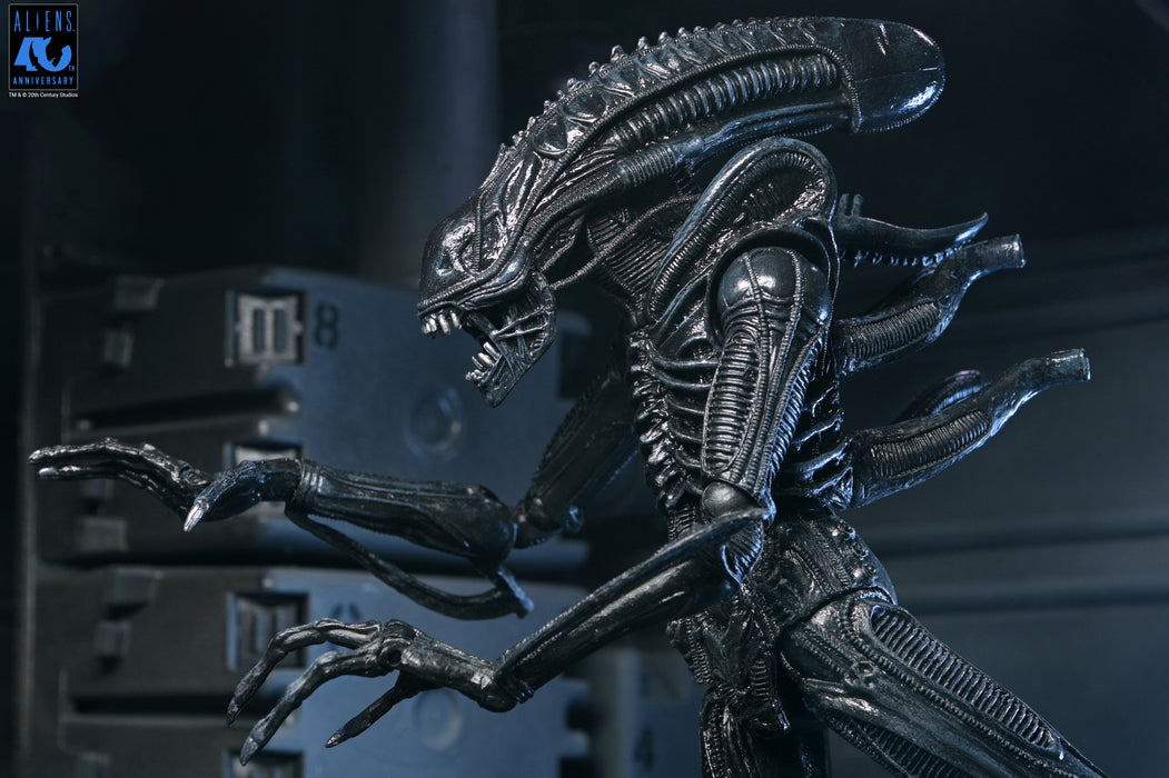 NECA Figura de Accion Ultimate: Aliens 40 Aniversario - Warrior Xenomorph Black 7 Pulgadas